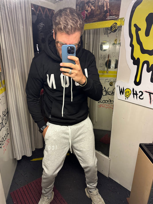 Felpa icon hoodie basic